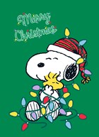 merry christmas from Snoopy and Woodstock